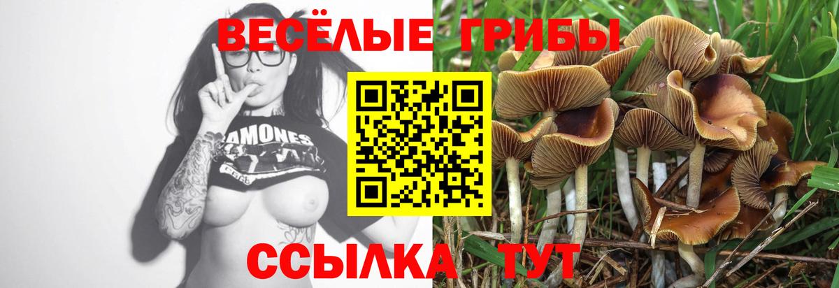 Тверь  Псилоцибиновые грибы ЛСД  Вход с VPN 